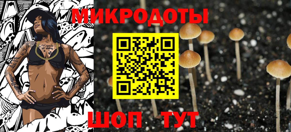 Псилоцибиновые грибы MAGIC MUSHROOMS Биробиджан