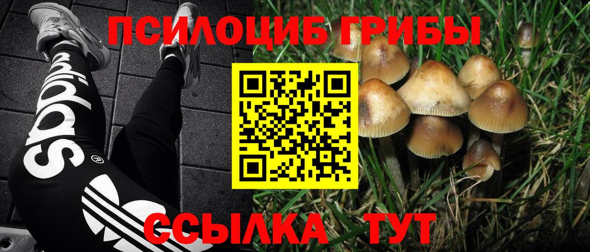 Галлюциногенные грибы мицелий  Псилоцибиновые грибы прущие грибы  Вход с VPN  Биробиджан 